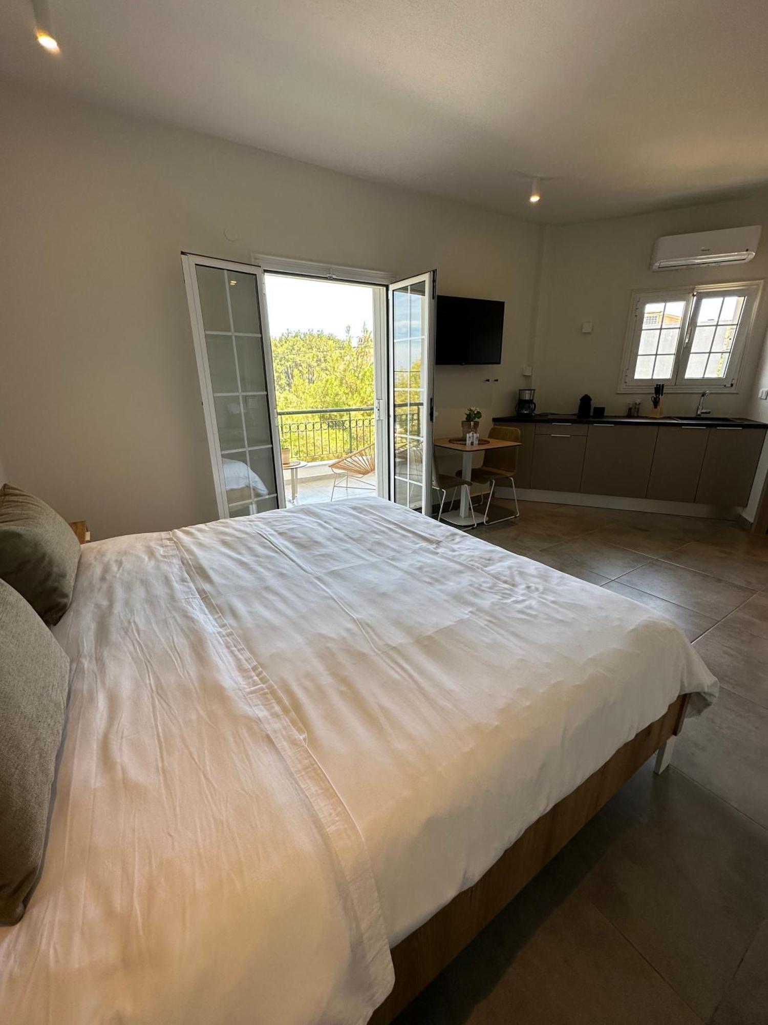 Villa Eleni Greece - Wonderful Sea View Studios Νέα Ρόδα Εξωτερικό φωτογραφία