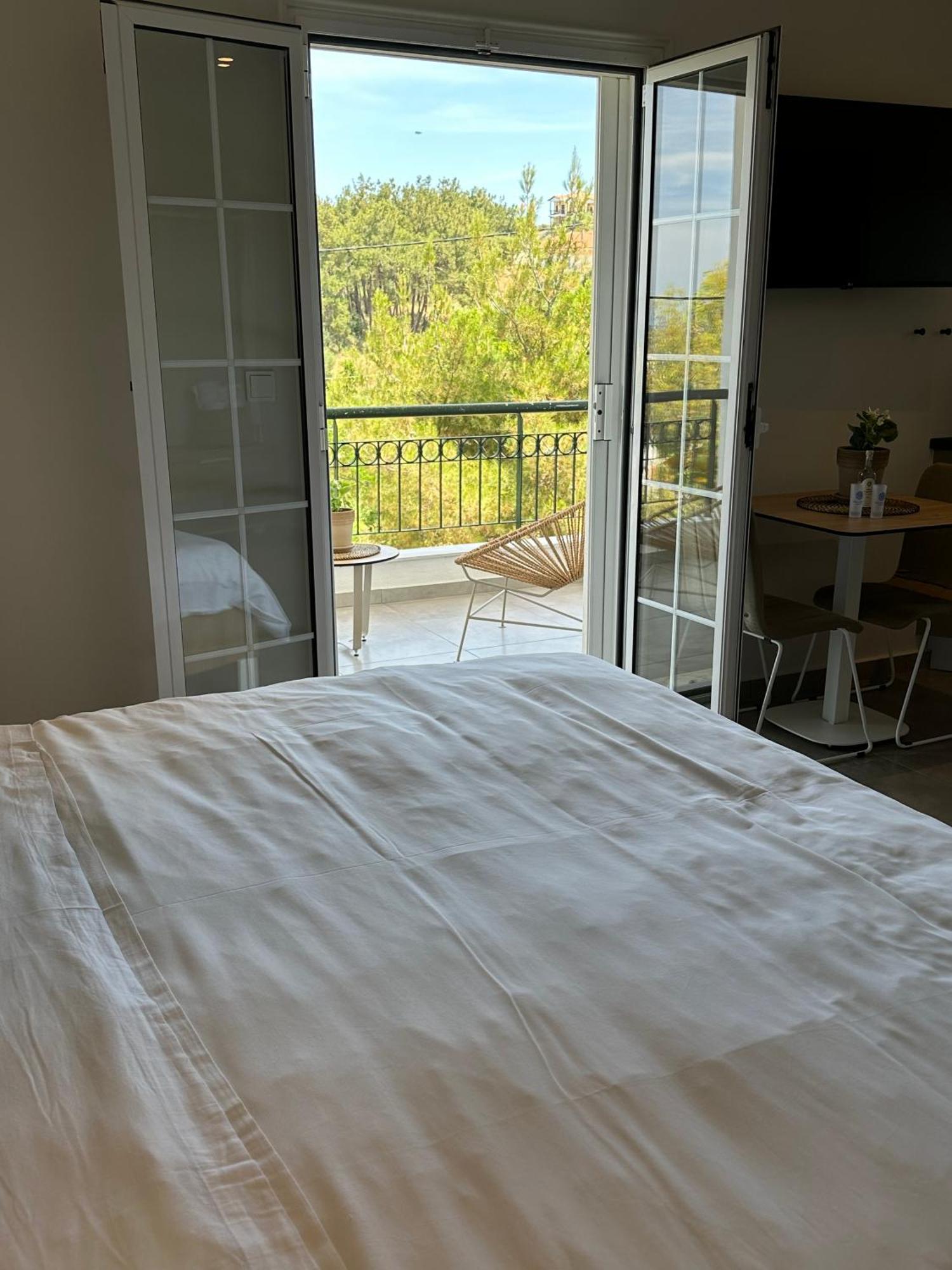 Villa Eleni Greece - Wonderful Sea View Studios Νέα Ρόδα Εξωτερικό φωτογραφία